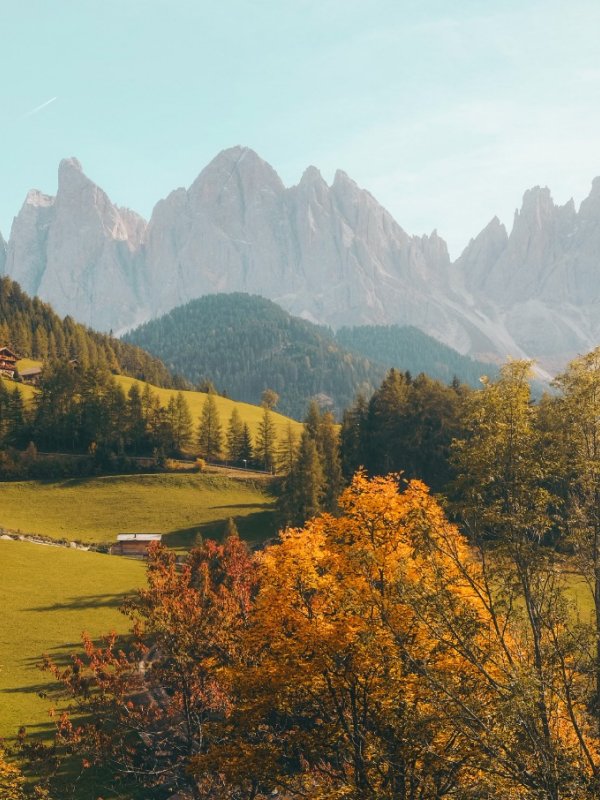 Blog Natures 02